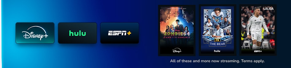 Now streaming Zombies 4 on Disney+, The Bear on Hulu and Laliga on ESPN+, and so much more.