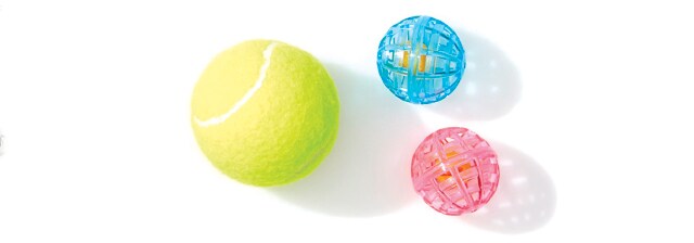 PetBall