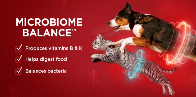 Microbiome Balance Microbiome Balance