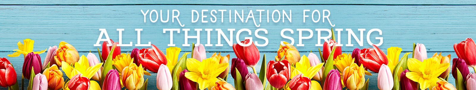 Your Destination for All Things Spring