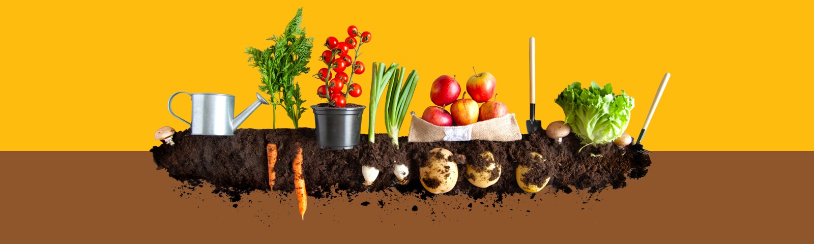 Compost garden with vegetables and dirt on a yellow background
