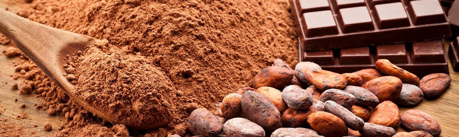 cocoa powder, cocoa nibs and a chocolate candy bar