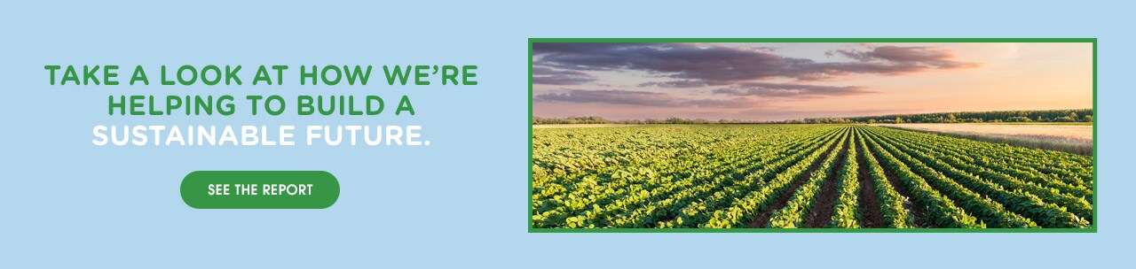 Take a look at how we are helping to build a sustainable future.