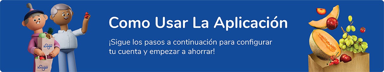  Como Usar la Aplicación