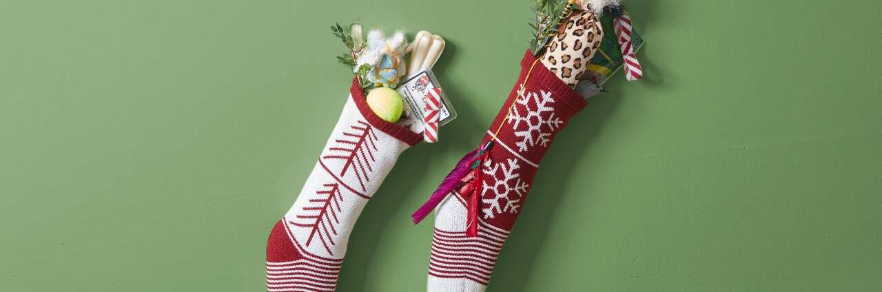 Stocking Stuffers Sure to Please Every Pet